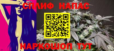 шишки Коммунар