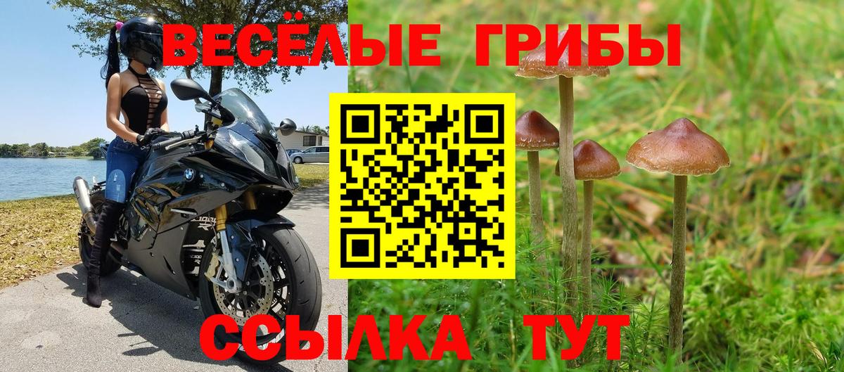 Электрогорск  Галлюциногенные грибы Psilocybine cubensis  Псилоцибиновые грибы GOLDEN TEACHER  Вход с VPN 
